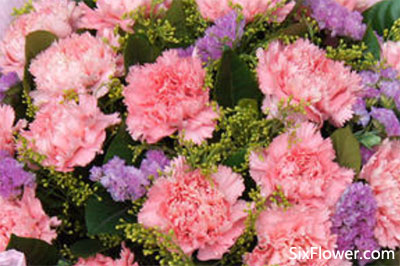 送花給媽媽_送花媽媽祝福語_送花媽媽祝福語簡短